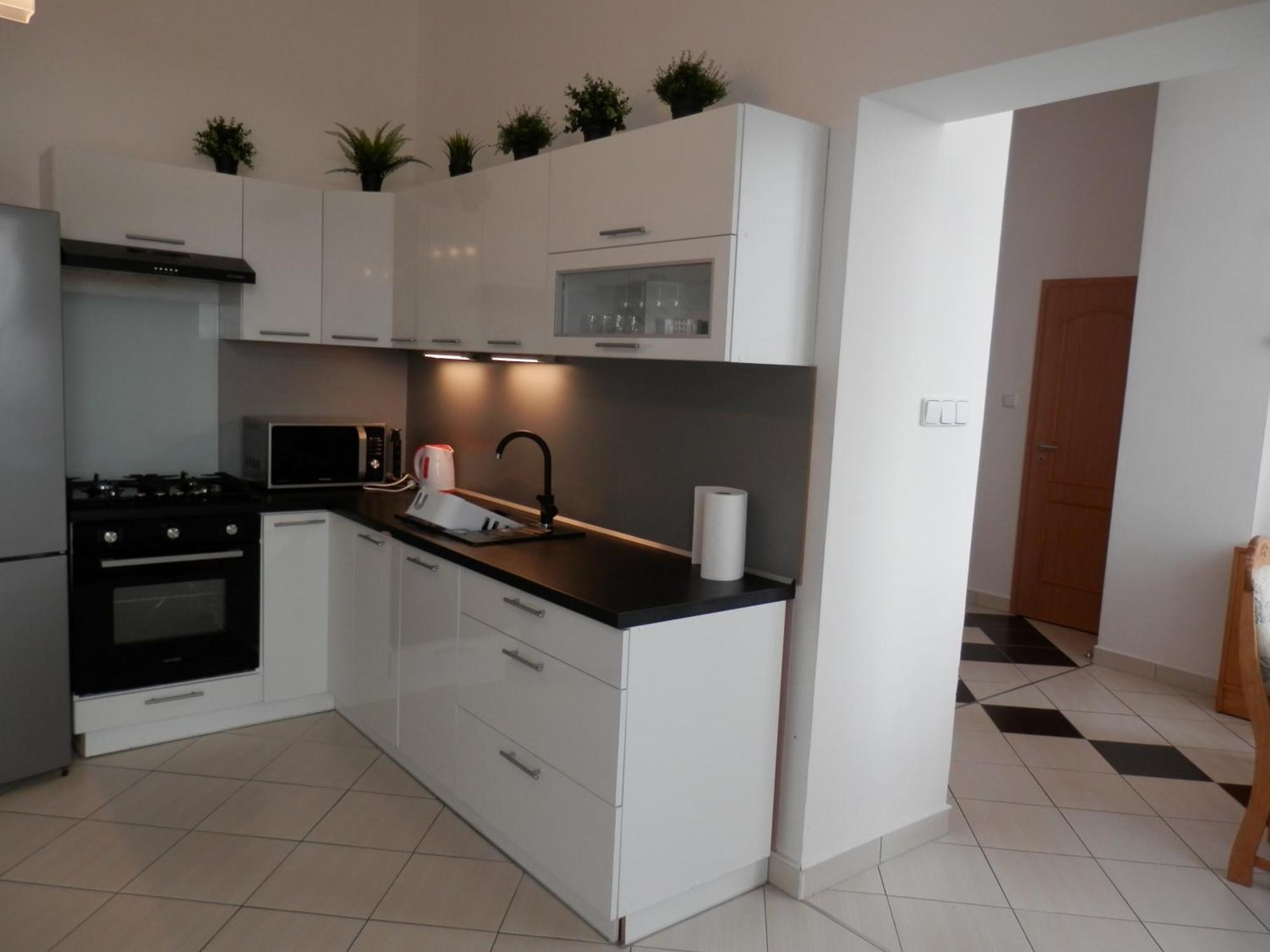 Spacious Apartment Below Spilberk Castle Brno Dış mekan fotoğraf